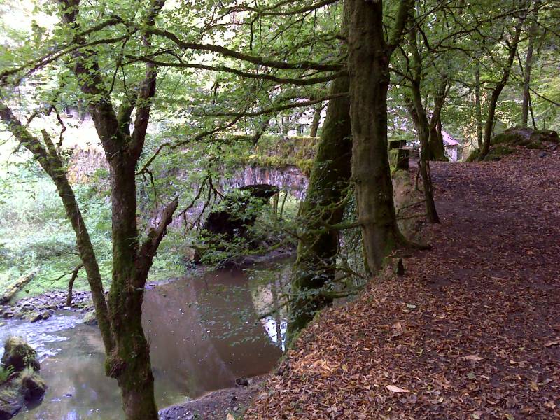 Randonnée : Etape Clergoux - St Chamant