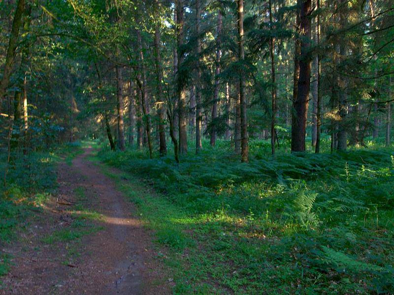 Randonnée : Le chemin du mineur