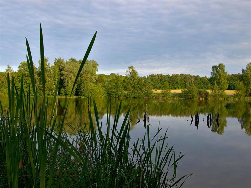 Randonnée : Les marais du Warndt