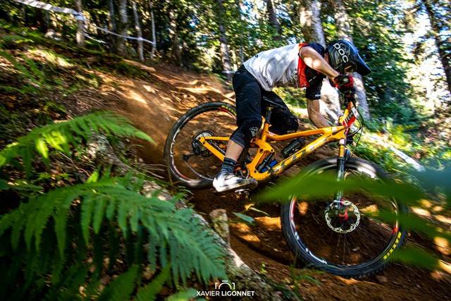 Randonnée : Parcours 1 Bleu - Avallon VTT