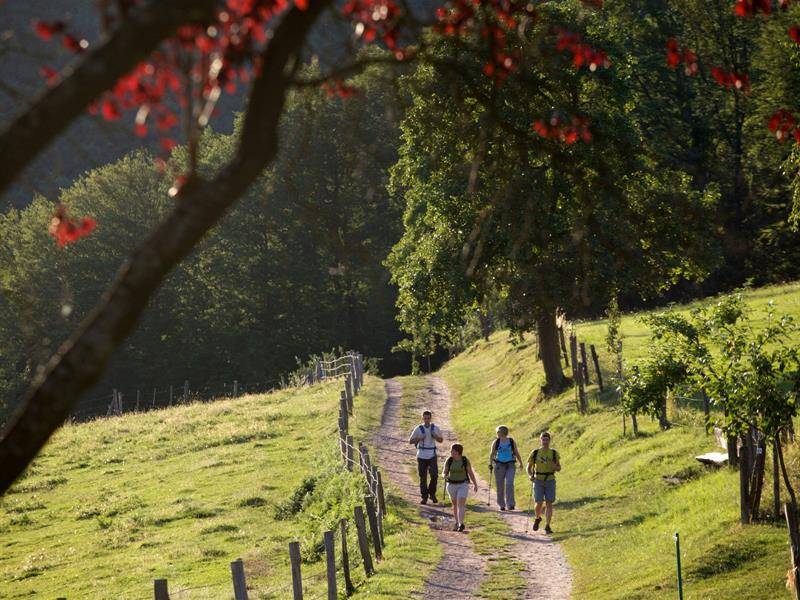 Randonnée : Sur les traces des Verriers