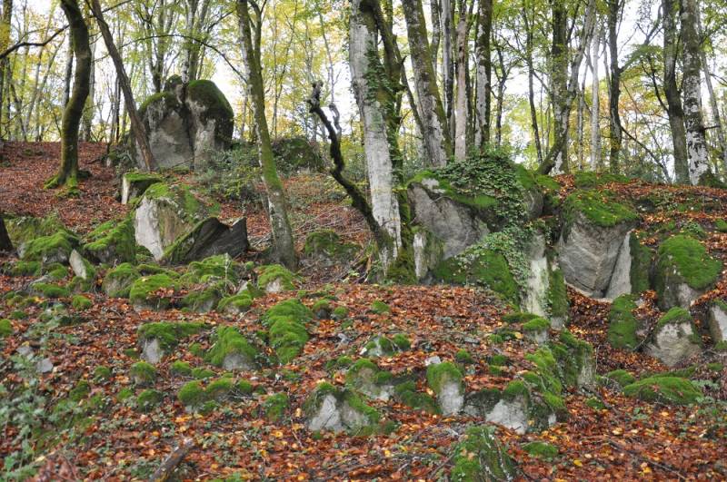 Randonnée : Circuit de randonnée  : Le tour du Jarissou