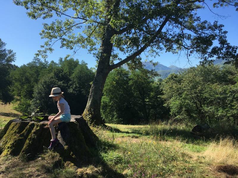 Randonnée : Colline de la Bergerie