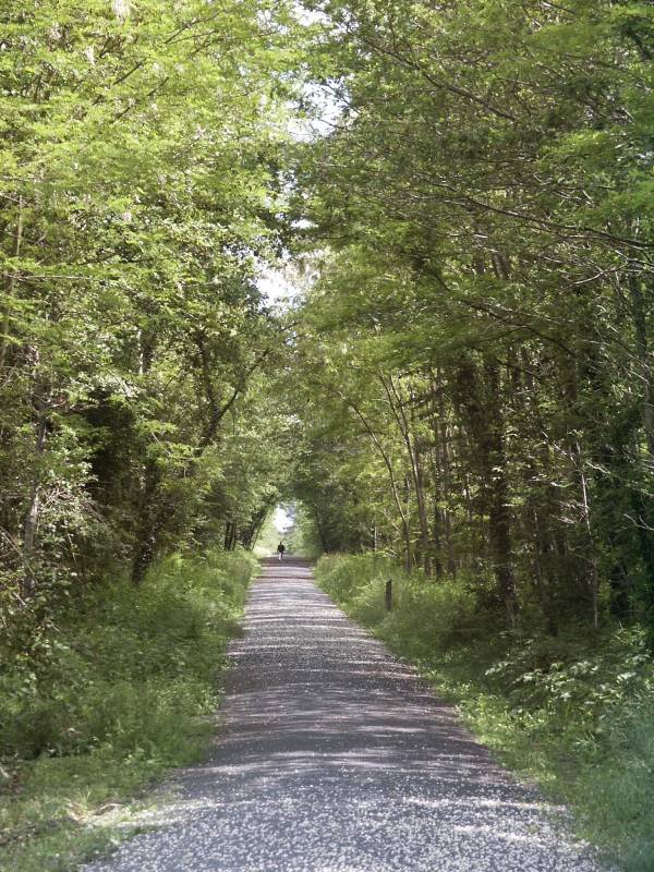 Randonnée : La Ligne Verte dans le Châtelleraudais