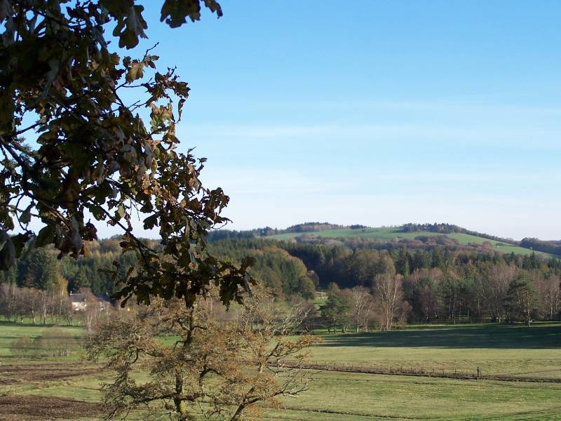 Randonnée : Le bois de Tempêtier