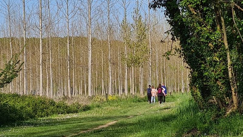 Randonnée : Marmande, la Filhole, espace nature de la Garonne