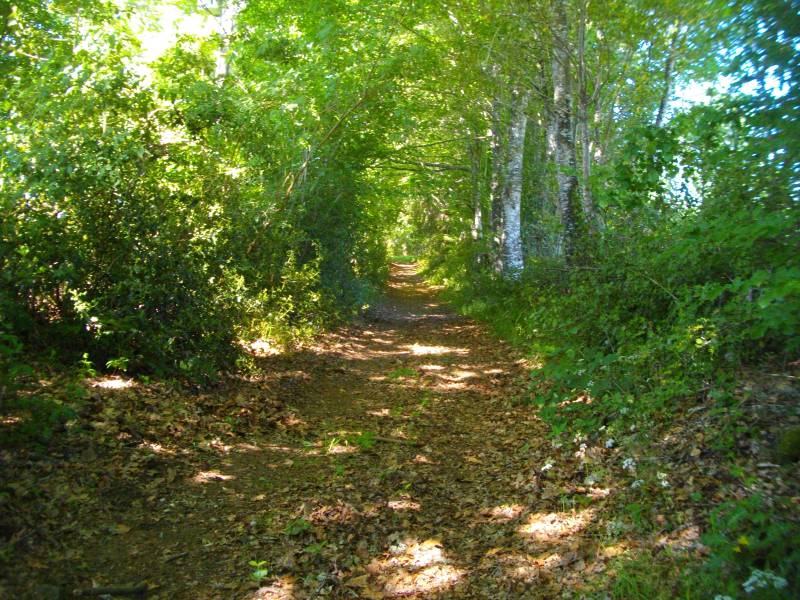 Randonnée : VTT - Gravel - Vers Pras - 25 km - circuit 49