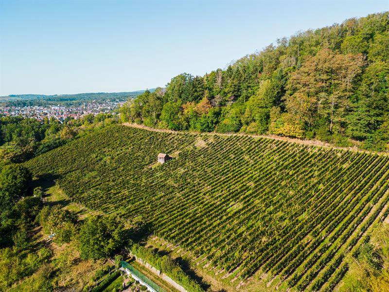 Randonnée : Randonnée  : la Waldkapelle par Pastetenplatz