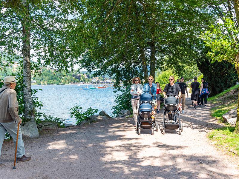 Randonnée : Balade poussette - Les rives du lac