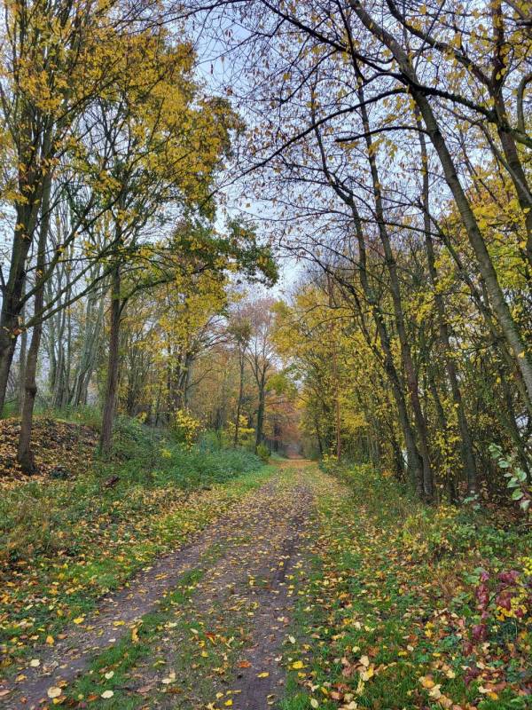 Randonnée : Coulée verte Crévecoeur-le-Grand à Croissy-sur-Celle