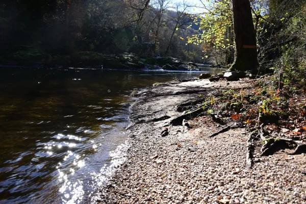 Randonnée : L'Aveyron site du Gourgassier (lâchers de truites)