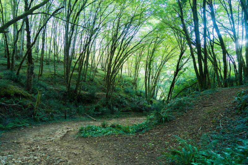 Randonnée : Parcours Trail Le Bugue n°1