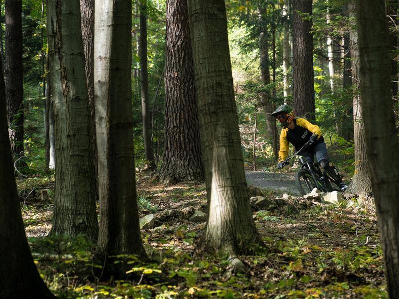 Randonnée : Circuit VTT n°82 la Vierge