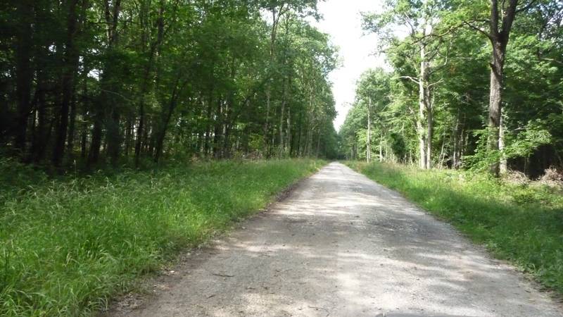Randonnée : 2- Boucle en forêt d'Arpheuilles