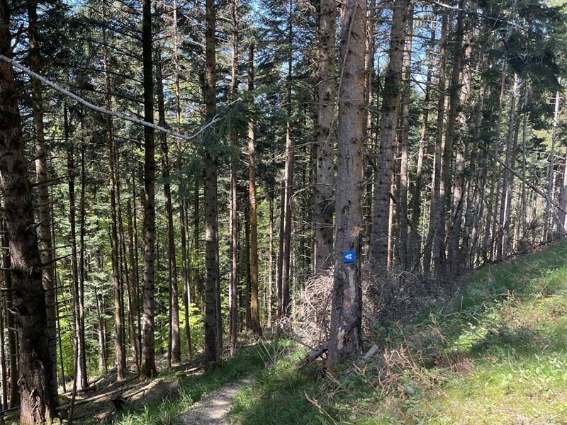 Randonnée : ENDURO - Spéciale Brako