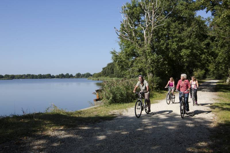 Randonnée : Itinéraire vélo n°5 - Grande boucle des étangs de la Brenne