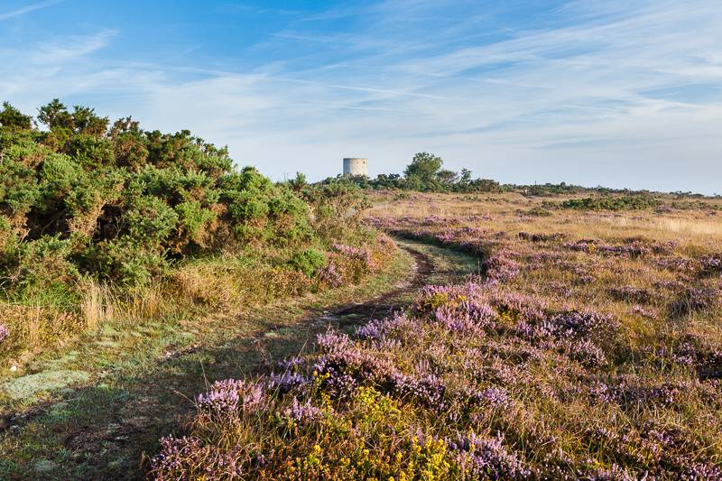 Randonnée : Le Mont de Doville - Randonnée