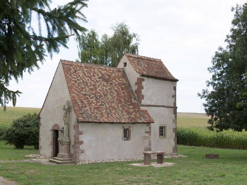 Randonnée : Sentier : Chapelle de Himmolsheim