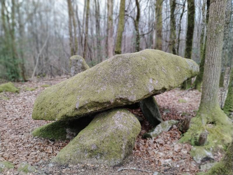 Randonnée : Sentier de l'Ermite