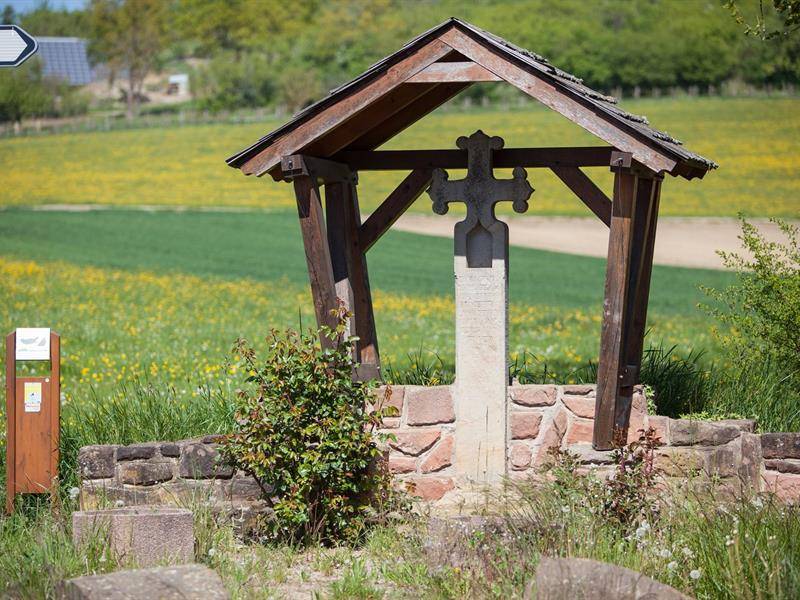 Randonnée : Sentier Colline du Scheuerberg