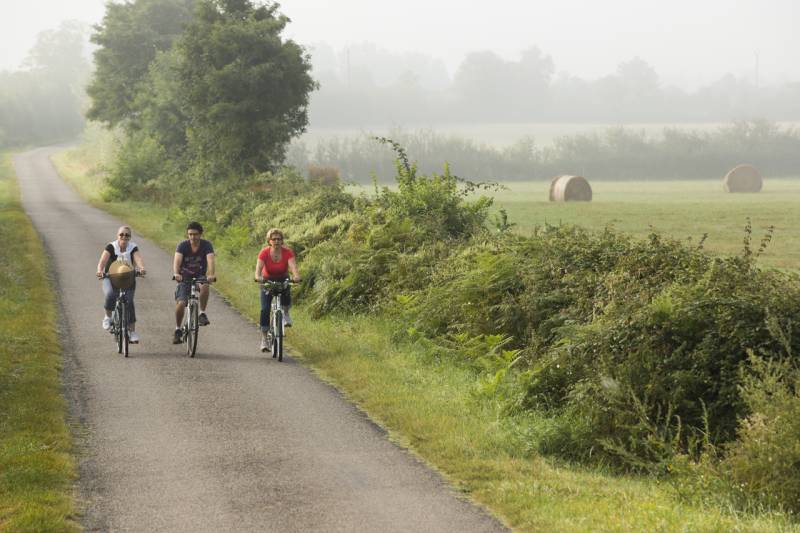 Randonnée : Itinéraire vélo n°12 - Balade champêtre en queue de Brenne