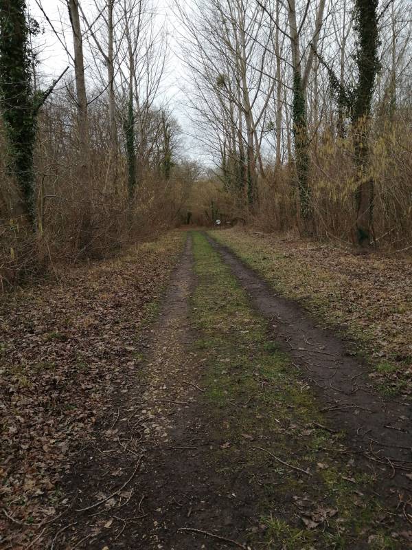 Randonnée : Le parcours forestier des marais de Sacy