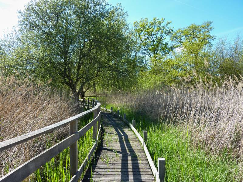 Randonnée : Le Marais de Bonnefont, Réserve Naturelle Régionale