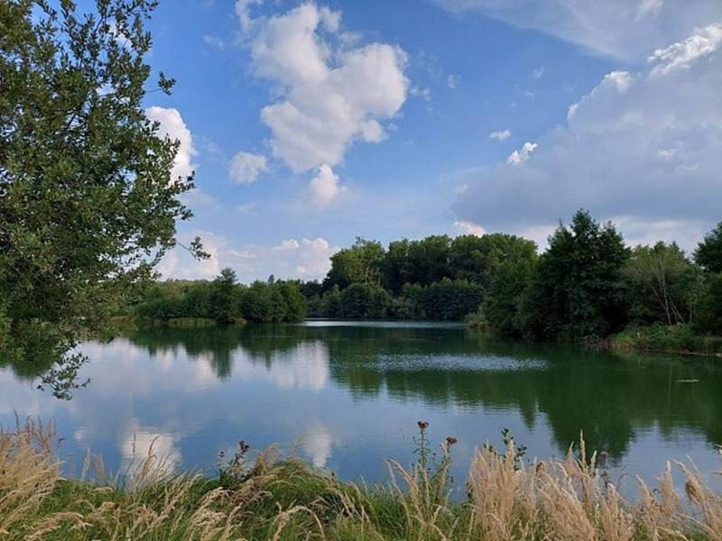 Randonnée : Odyssée VTT autour de Buzancy