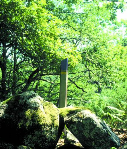 Randonnée : Circuit pédestre n° CM10 Lac et Monts de Chauverne