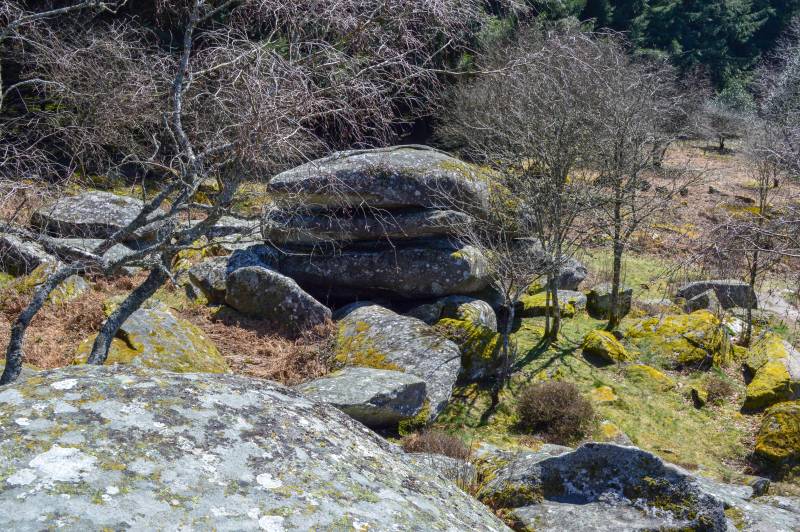 Randonnée : Circuit Trail n°2 : La petite carrière