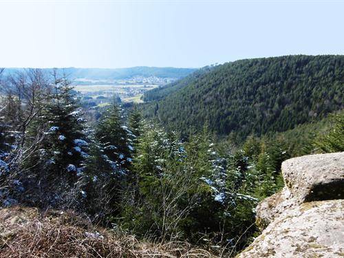 Randonnée : Rando n°23 - Circuit des hauts de Domfaing