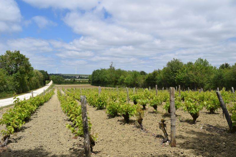 Randonnée : Espace naturel sensible de la Côte-Belet