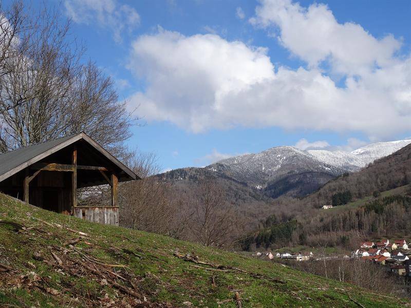 Randonnée : Marche Santé - circuit M Mitzach