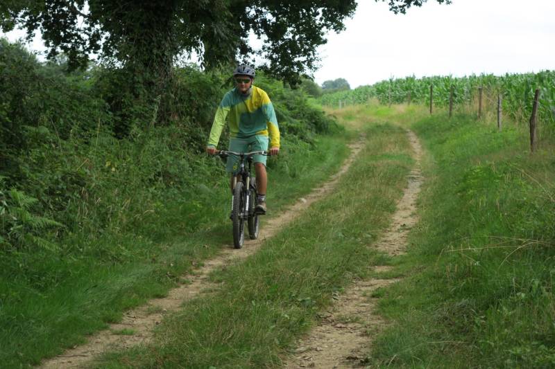 Randonnée : VTT N°75 - Bords du Gave