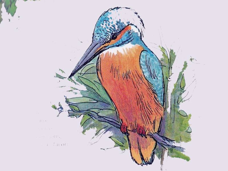 Randonnée : Les Bords de Voueize