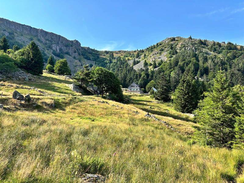 Randonnée : Circuit rando - le tour des 3 lacs