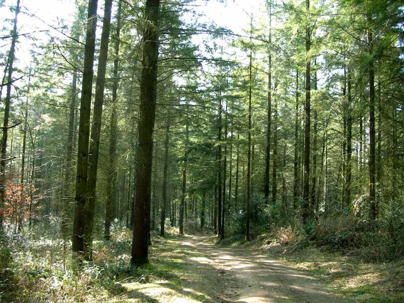Randonnée : Sentier Douas Vias