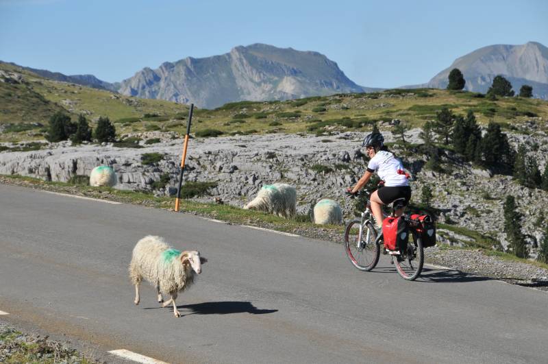 Randonnée : Le col de la Pierre-Saint-Martin depuis Licq-Athérey