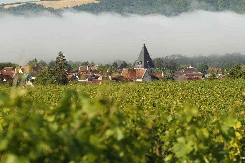Randonnée : Le balcon du Tonnerrois