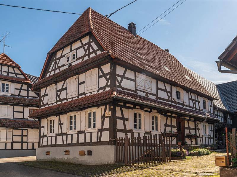 Randonnée : Circuit de randonnée de Soultz-sous-Forêts vers les villages blancs
