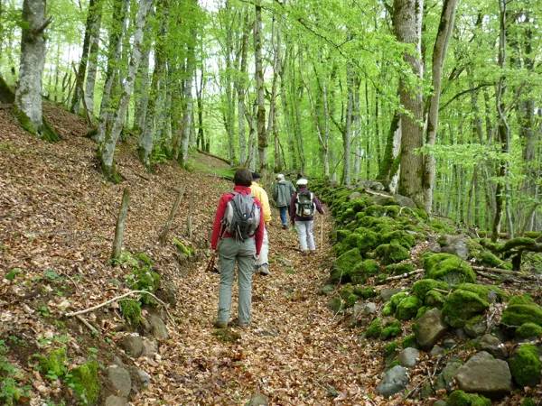 Randonnée : Randonnée : de Mur-de-Barrez à Thérondels (et retour)