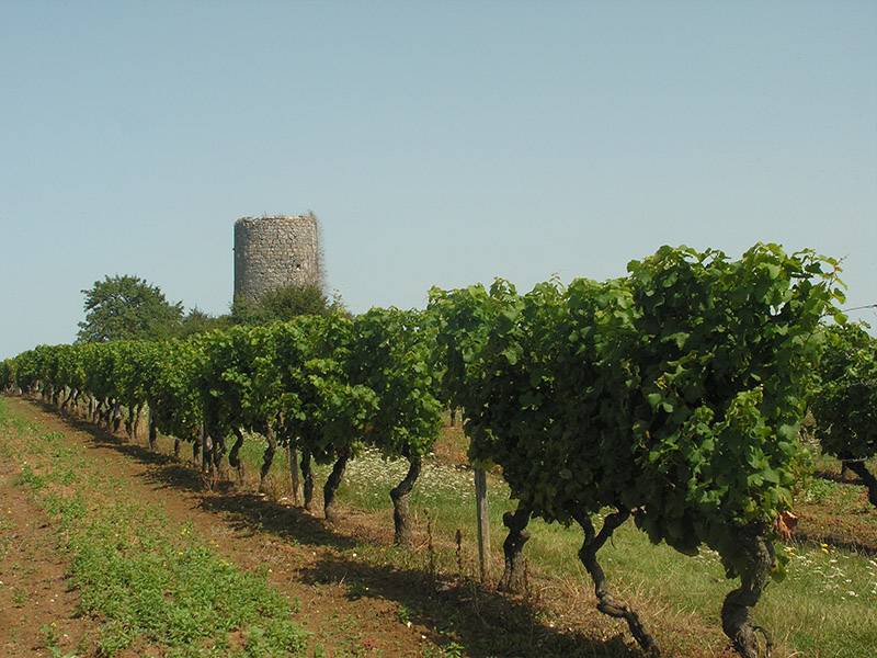 Randonnée : Boucle des deux moulins - Colombier