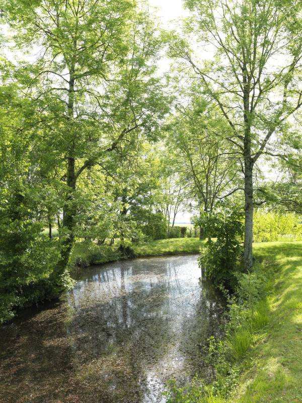 Randonnée : Randonnée Morand - parcours du château