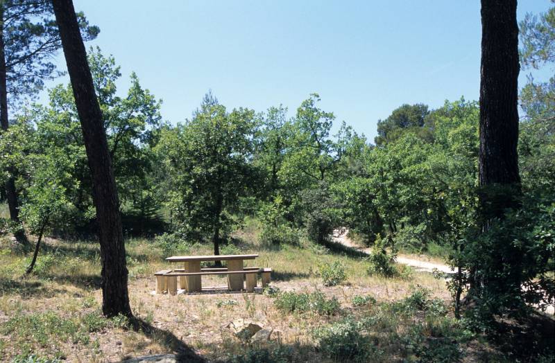 Randonnée : Rognes : Caireval - circuit VTT 4