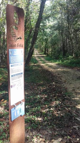 Randonnée : Le sentier de la motte castrale - Saint Félix de Villadeix