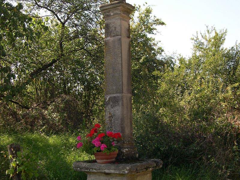 Randonnée : Itinéraire découverte autour de Seranville