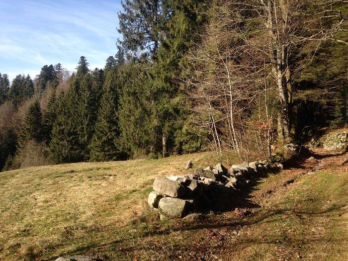 Randonnée : Itinéraire VTT n°4 - La Lochère - départ: Col de la Lochère