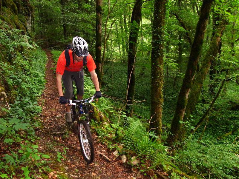 Randonnée : Circuit VTT n°26 Le vallon du Traubach