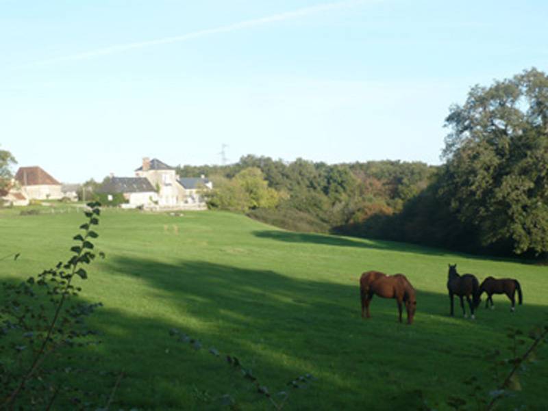 Randonnée : La Brenne à cheval : circuits en marguerite au départ du domaine de Montgenoux