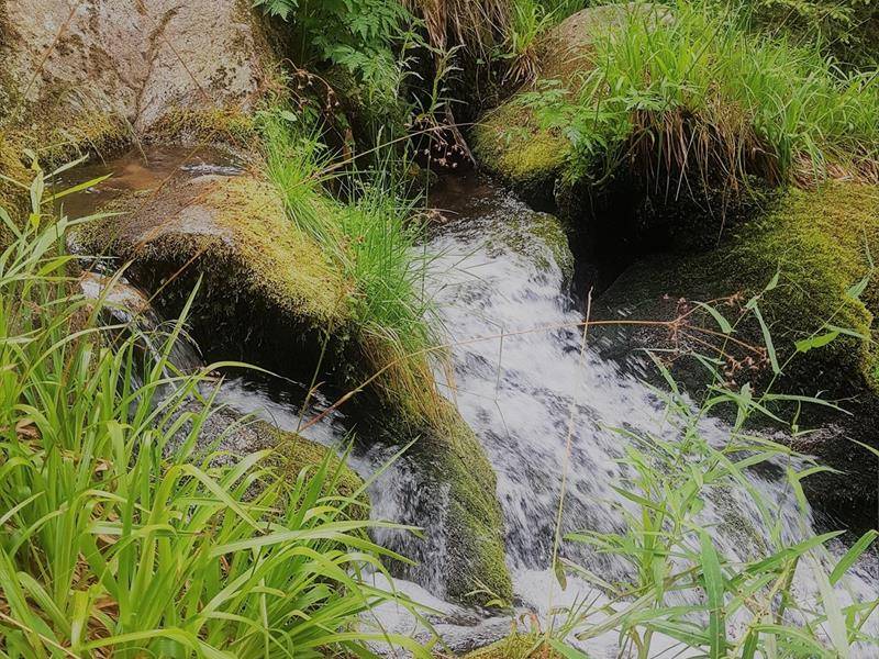 Randonnée : Circuit pédestre - Cascade du Rudlin - Gazon du Faing